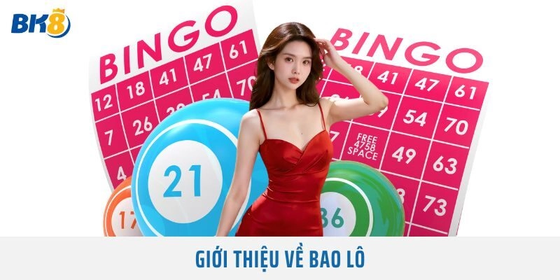 Giới thiệu về Bao Lô
