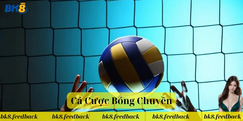 Cá Cược Bóng Chuyền có gì thú vị