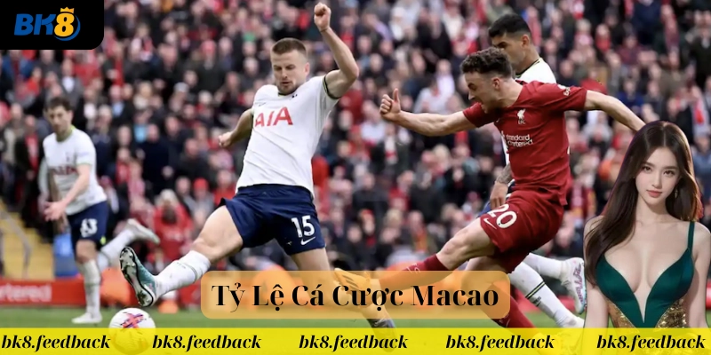 Tỷ Lệ Cá Cược Macao là gì?