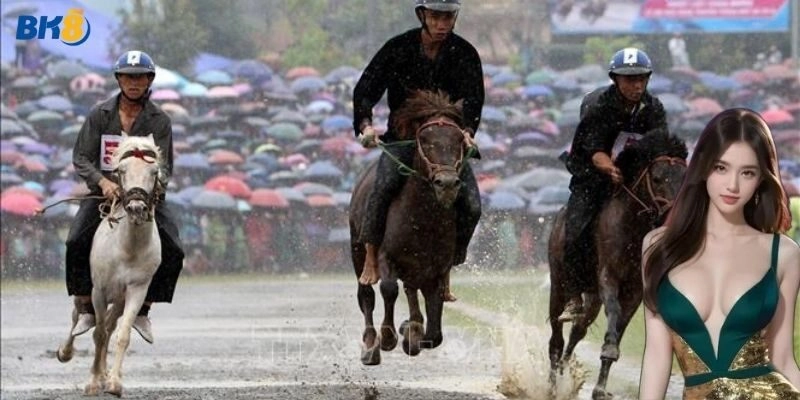 Bí kíp thắng lớn cá cược đua ngựa hấp dẫn