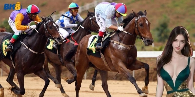 Cách chơi cá cược đua ngựa tại nhà cái