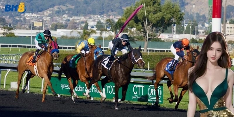 Giới thiệu về cá cược đua ngựa siêu hot