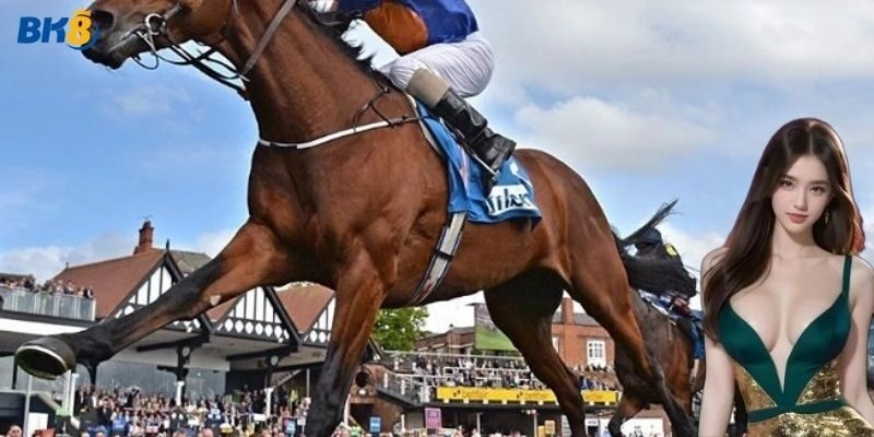 Kinh nghiệm chơi cá cược đua ngựa thắng lớn