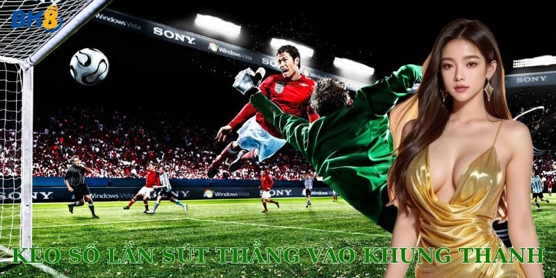 Theo dõi phong độ đội bóng